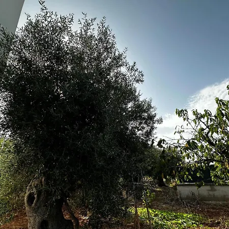 Casa Bianca Relax דירה קסטלאנה גרוטה