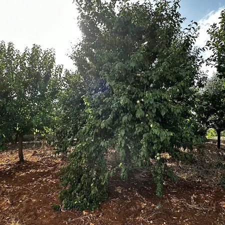 דירה Casa Bianca Relax