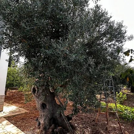 דירה Casa Bianca Relax